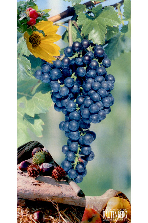 Wie spät ist es? - Es ist September